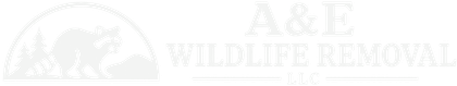 Faded A&E Wildlife Removal logo with elephant silhouette and tree icon, light gray on white background
