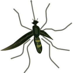 Illustration of a black and green mosquito-like insect with long legs and wings on a white background