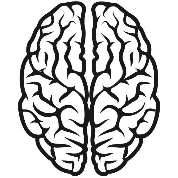 A black and white drawing of a human brain on a white background.
