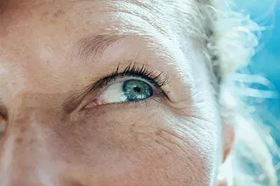 Lady's eye up close