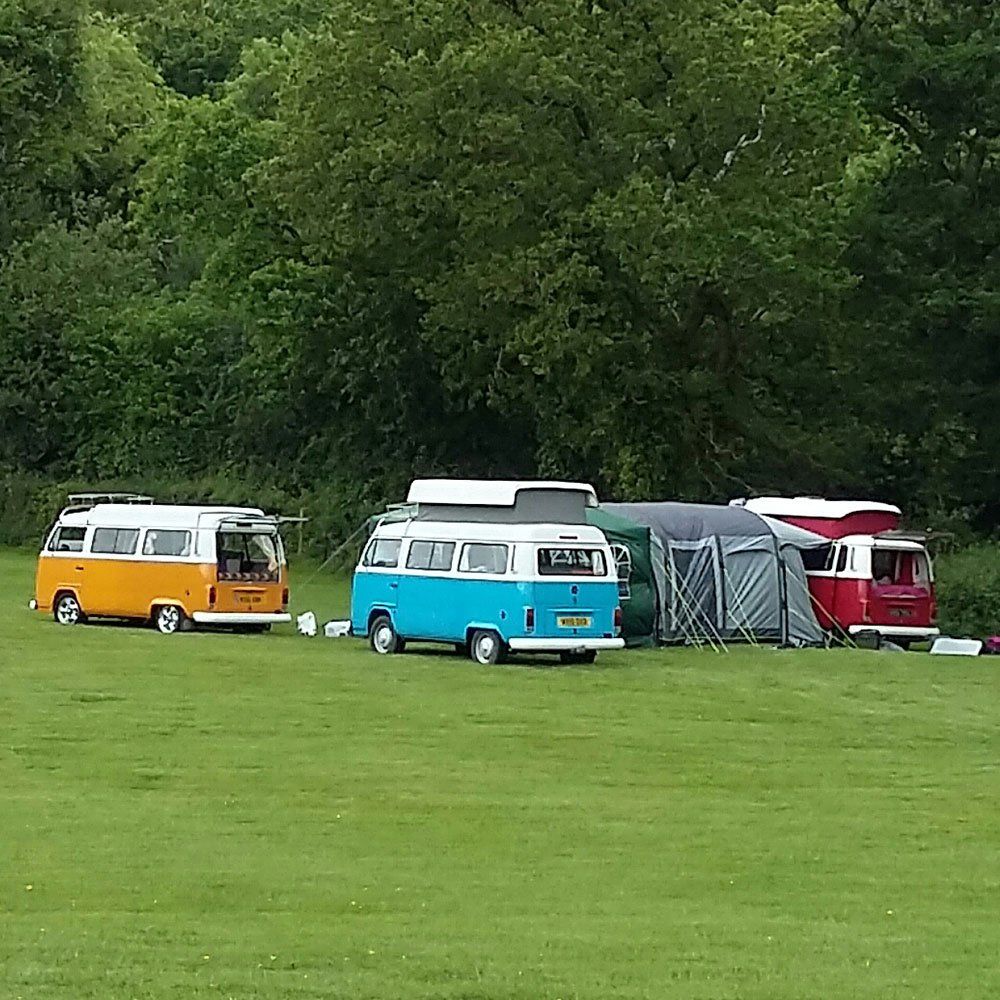Camper Vans staying at Pennymoor Camping and Caravan Park