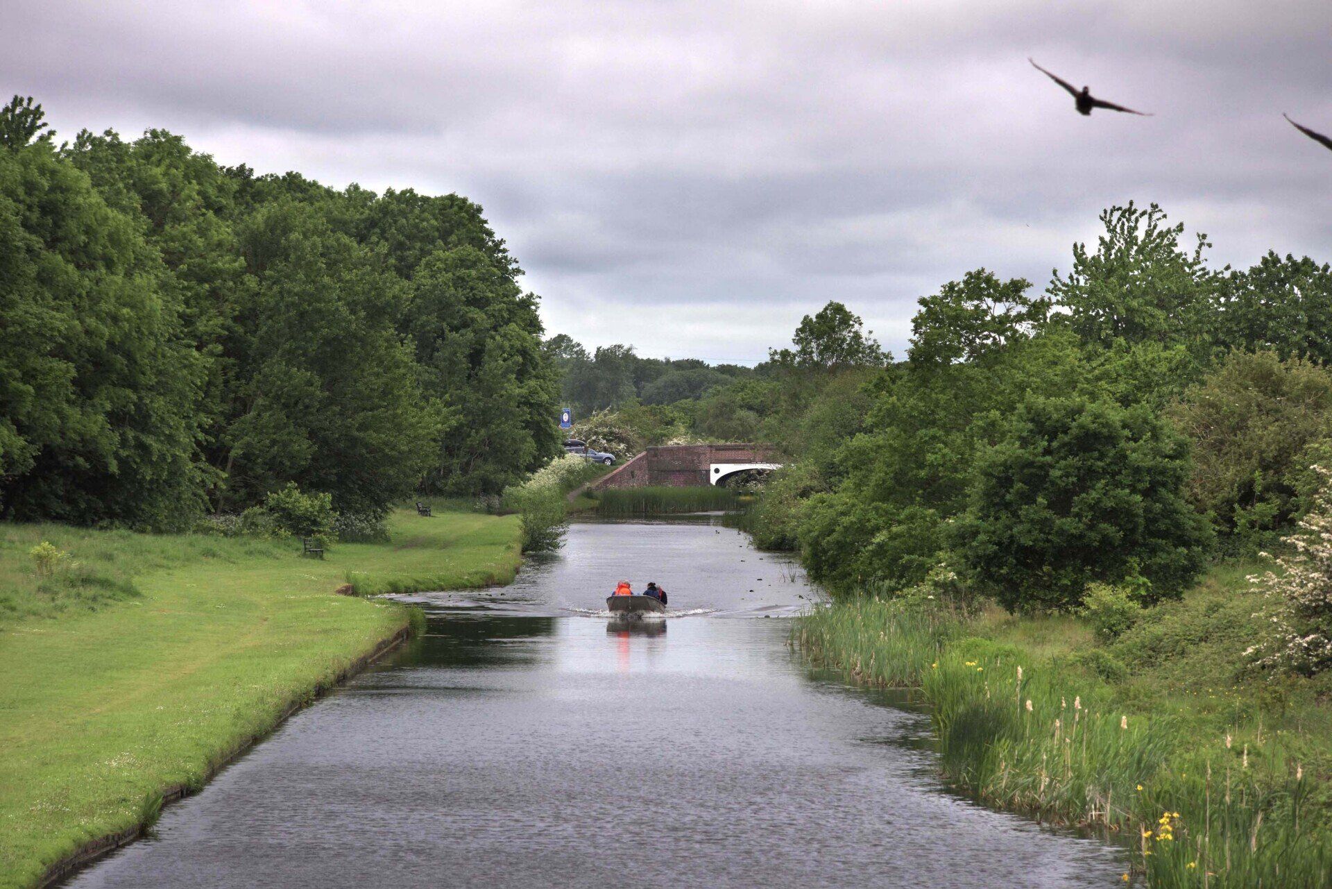Two people are rowing a boat down a river surrounded by trees.