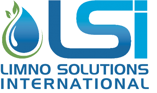 A blue and green logo for immo solutions international