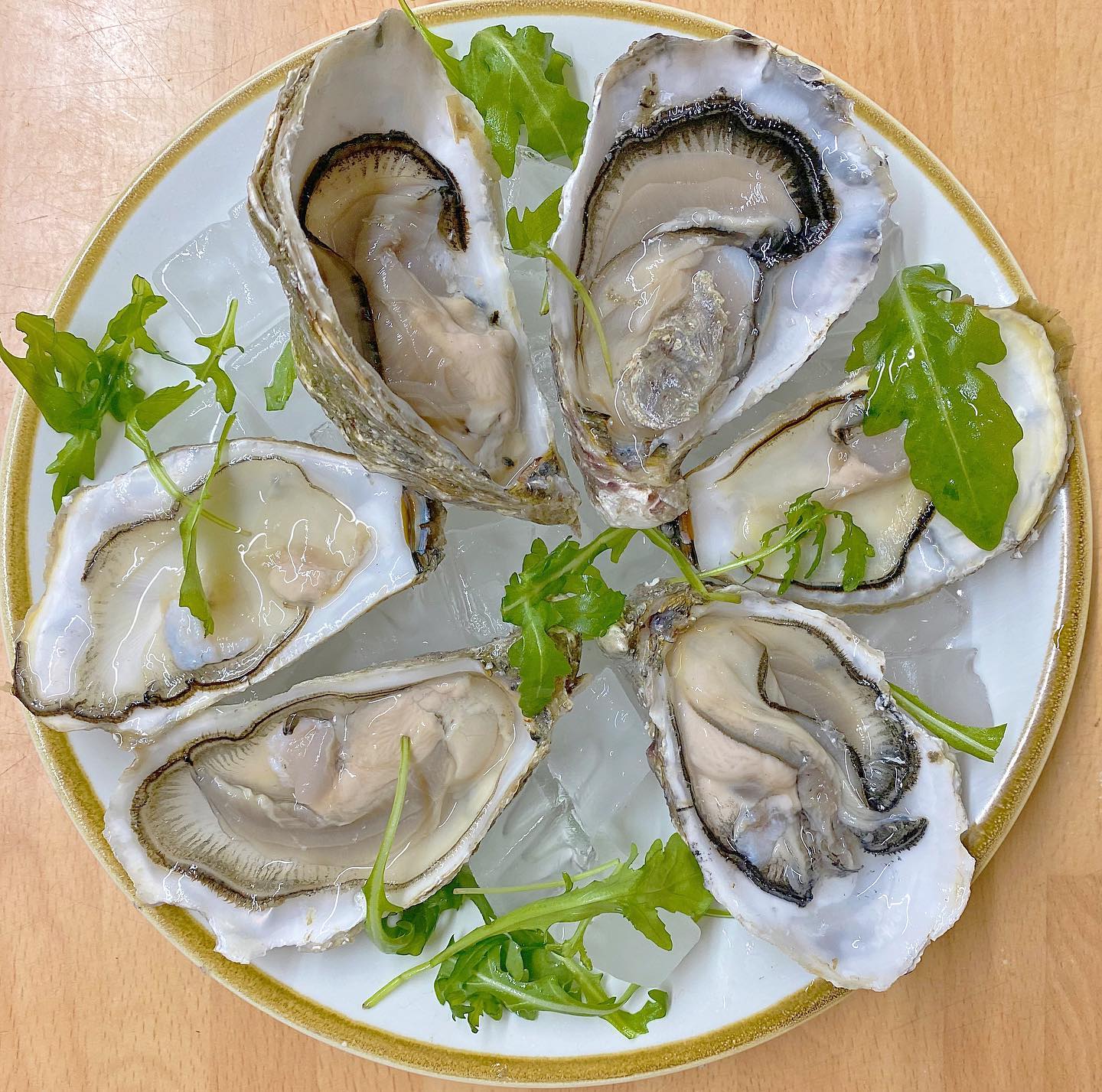 A white plate topped with oysters and greens on ice