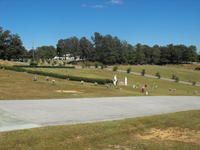 People walking on a grassy cemetery under a blue sky, with a road in the foreground.