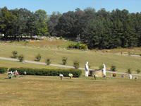 Wide grassy park with scattered people, hedges, and trees under a clear sky