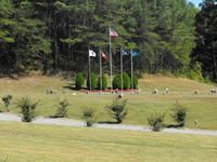 Golf course putting green with several flagpoles and trees in the background