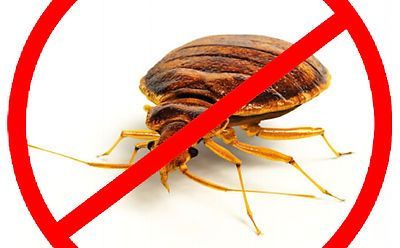 A bed bug is crossed out in a red circle.