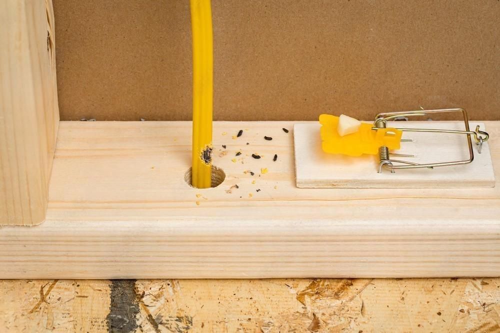 a mouse trap with a piece of cheese on it is sitting on a wooden table .