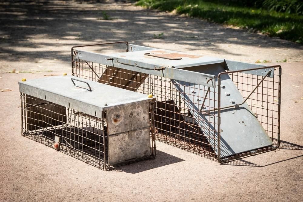 two metal cages are sitting next to each other on the ground .