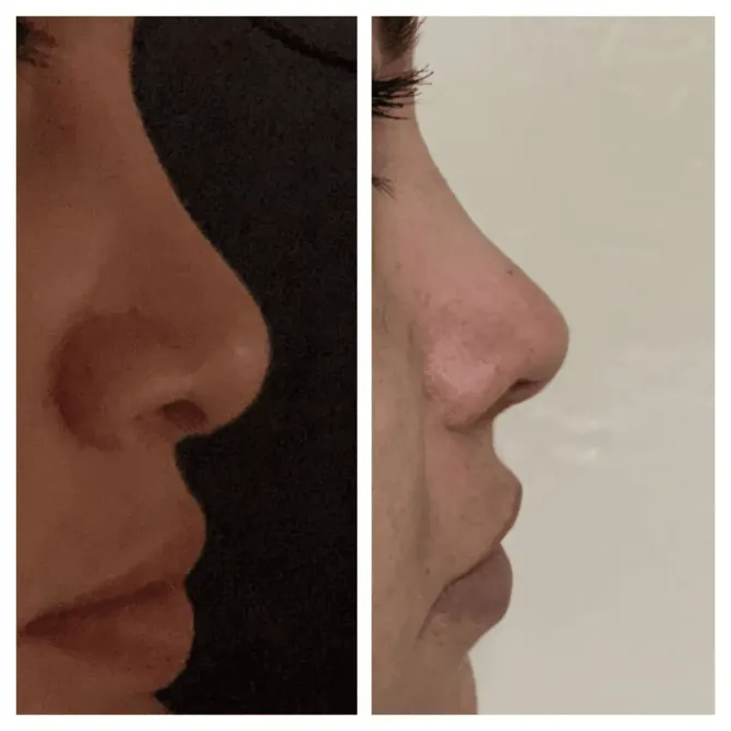DENTAL ARTS
