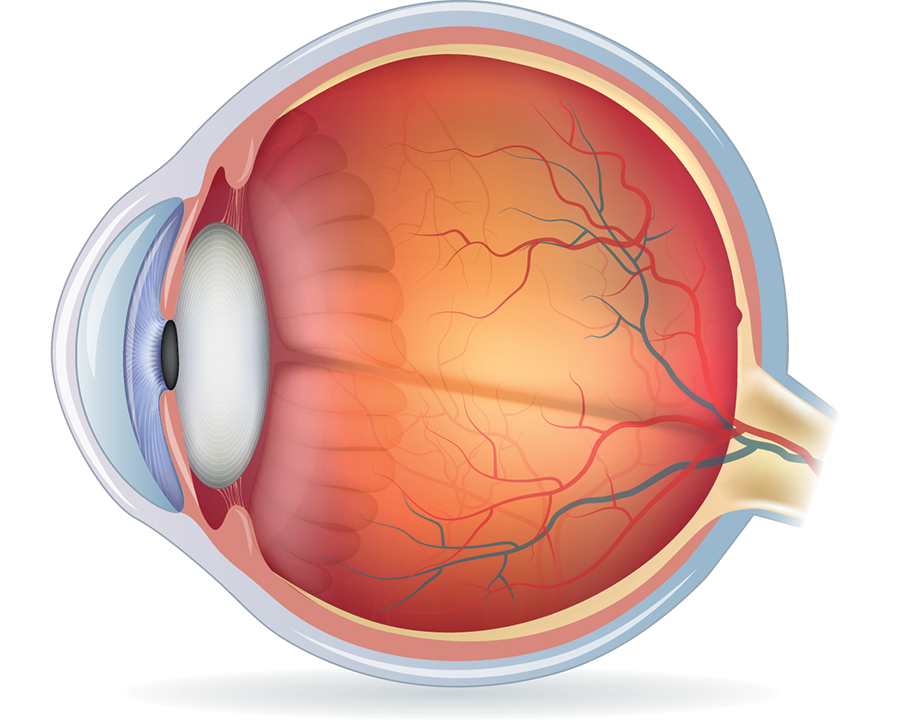 ojo