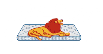 RUGGIFLEX MATERASSI - logo