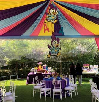 Carpas Elegantes Romero