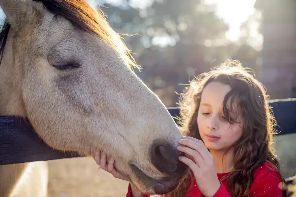 Girl gently pets a tan horse's nose in a sunlit outdoor setting.