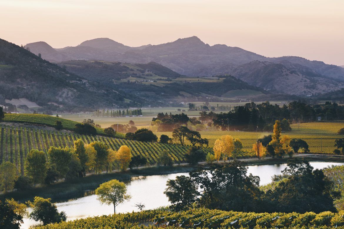 A river runs through a vineyard with mountains in the background.