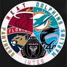 South Florida sports logo