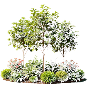 Vivero Los Dos Pinos
