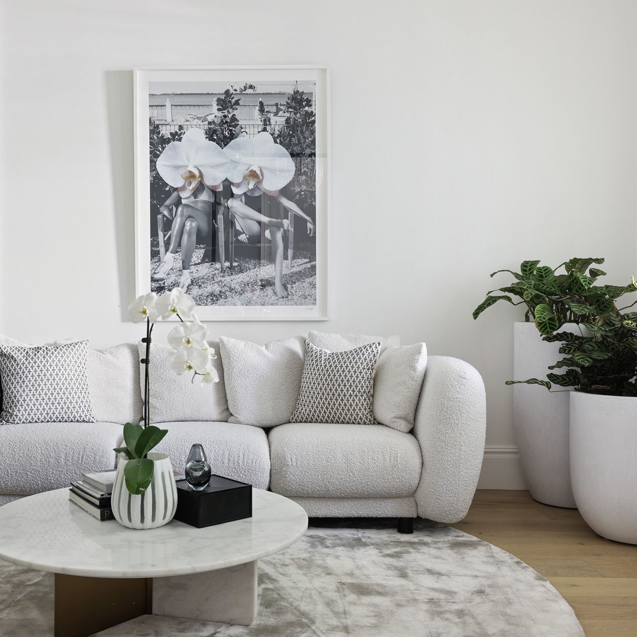 A living room with a white couch and a picture on the wall. Balmoral, Mosman.