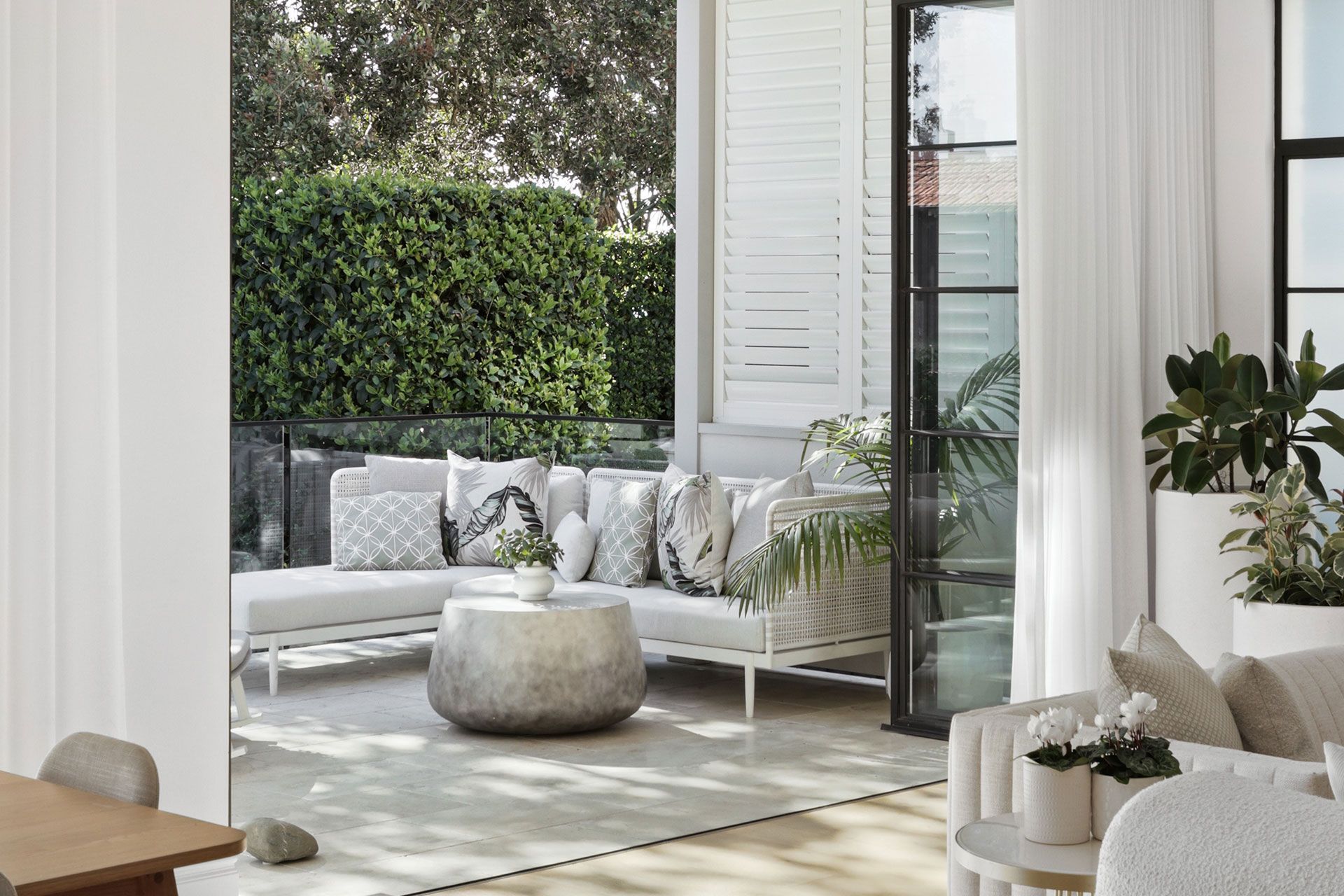 A living room with a couch , table , chairs and plants. Balmoral, Mosman.