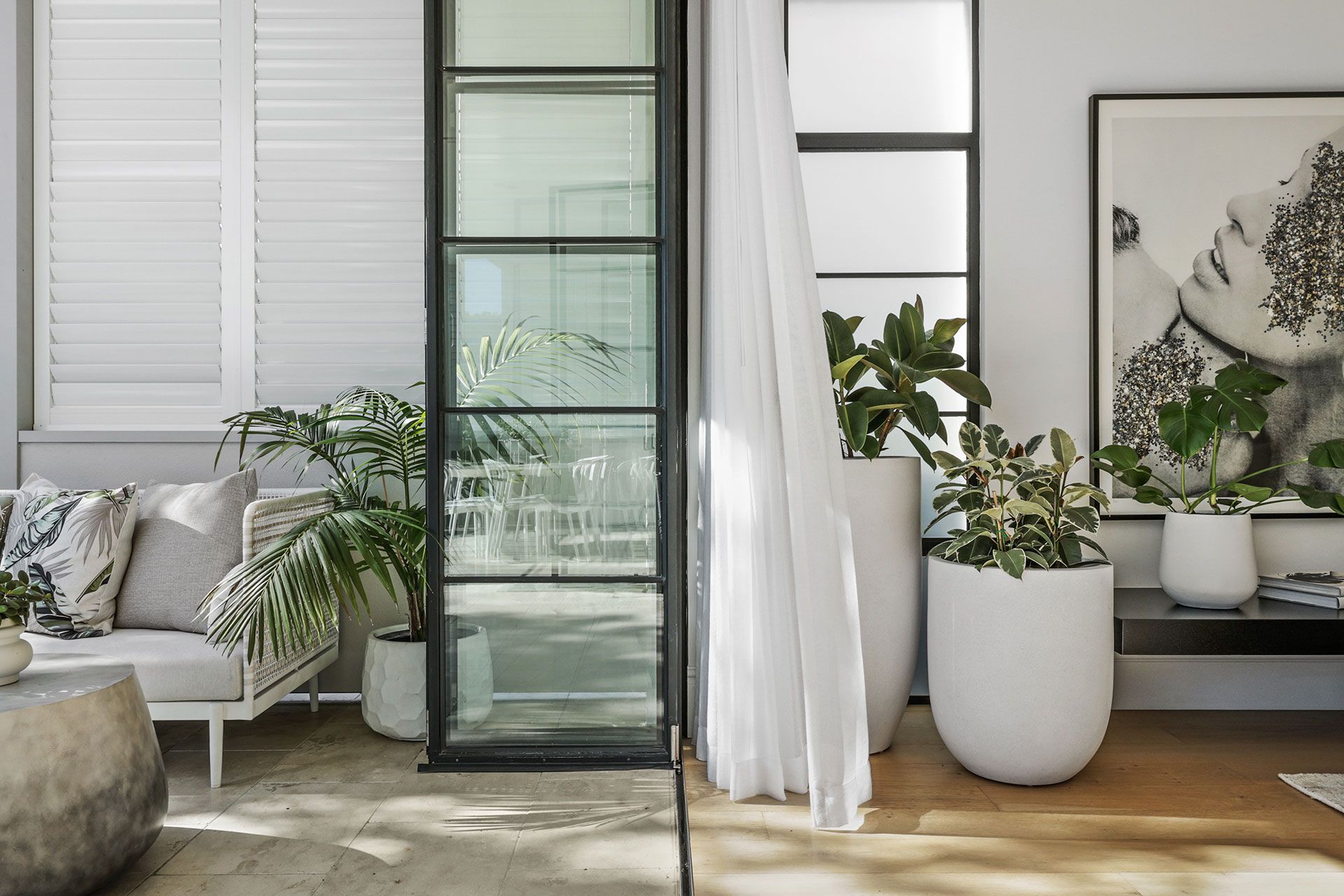 A living room filled with furniture and potted plants. Mosman.