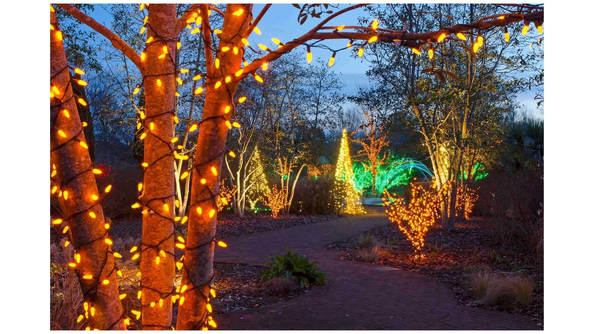 night-time water fall down lit-up boulders, shrubs, and vase theming