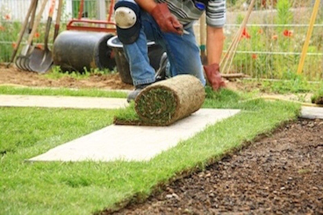 residential sod installation 