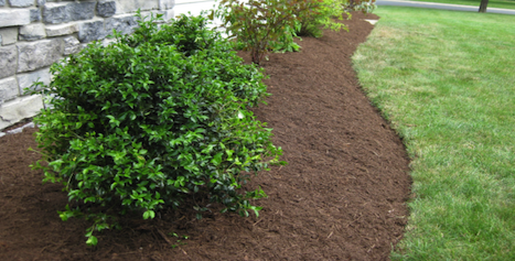 landscape services