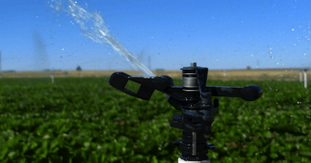 irrigation system installation