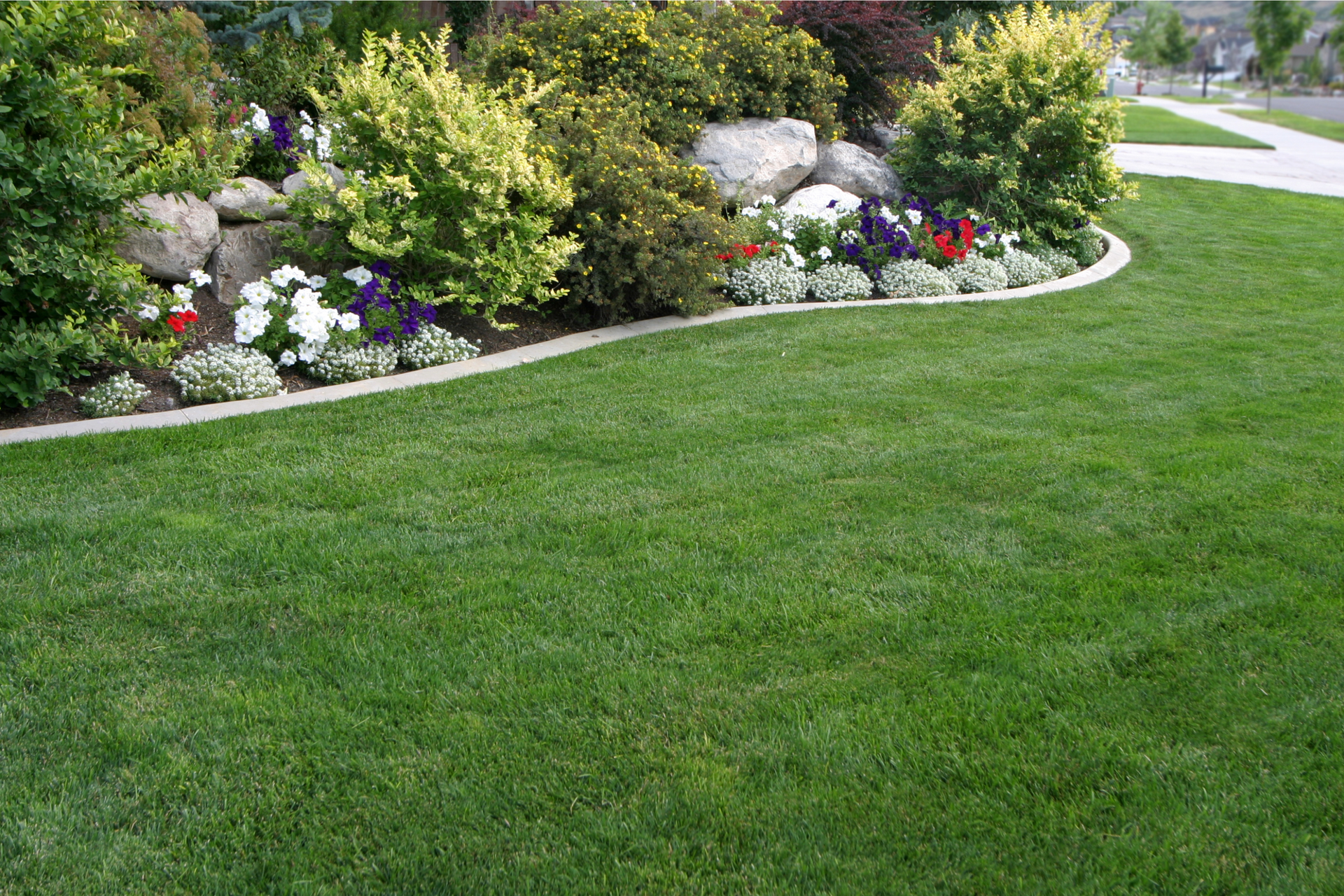 residential landscapers