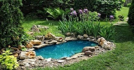 landscaping service