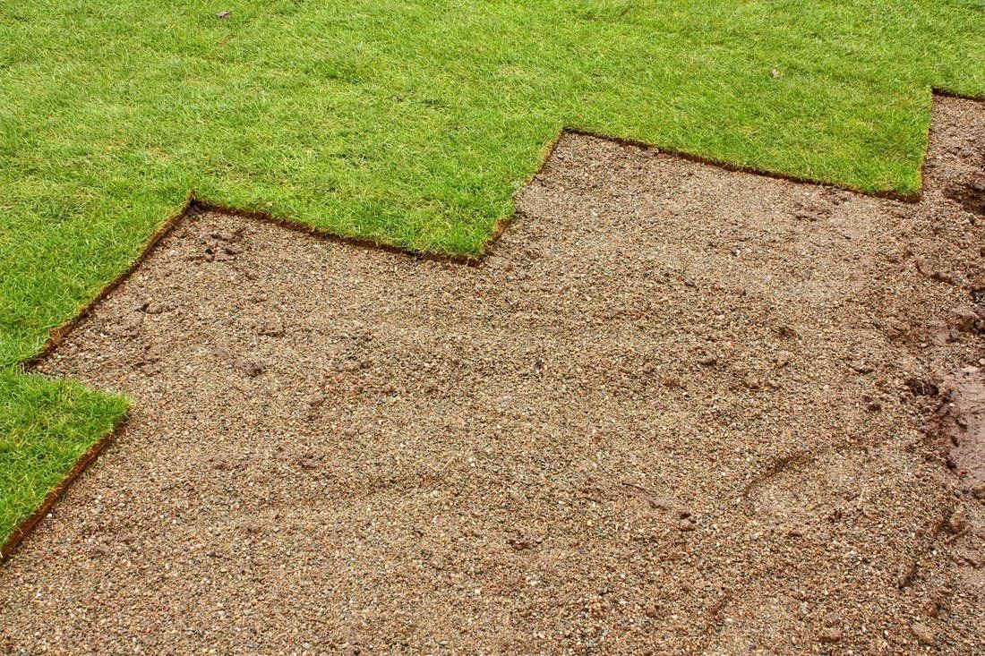 sod replacement in birmingham al
