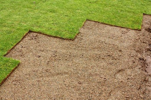 sod installation