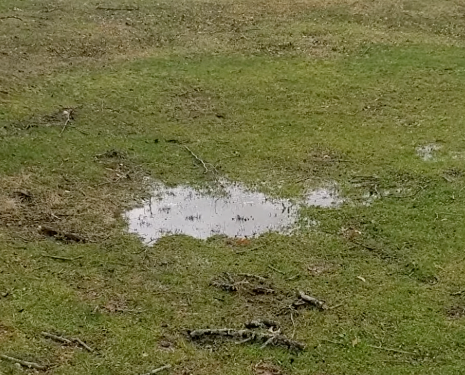 standing water