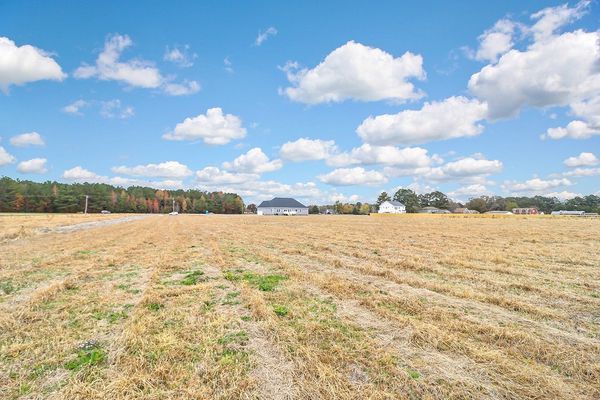 Field of dry grass under a blue sky with fluffy clouds. Houses and trees are on the horizon.