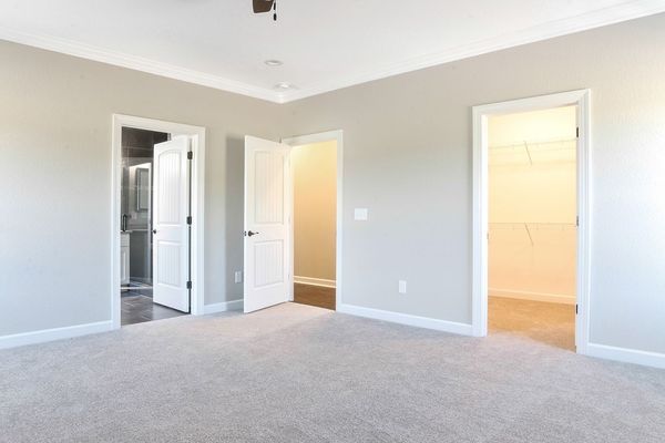 Empty bedroom with three doorways, gray walls, and light carpet.