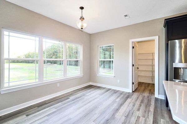 Empty kitchen area with large windows, pantry, and gray wood-look flooring.