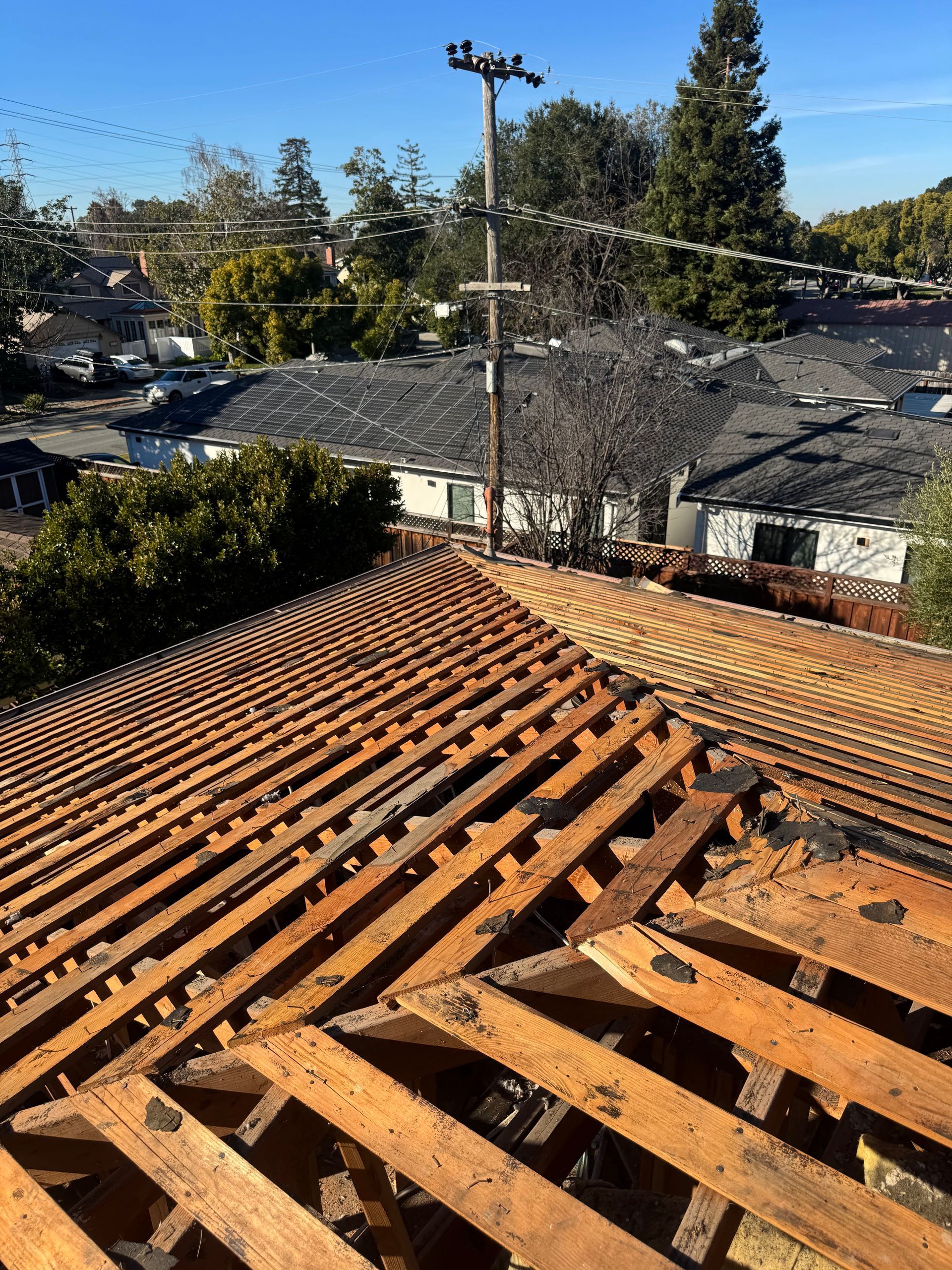 Damaged orange-tiled roof with exposed beams, overlooking trees and neighboring houses under a blue sky