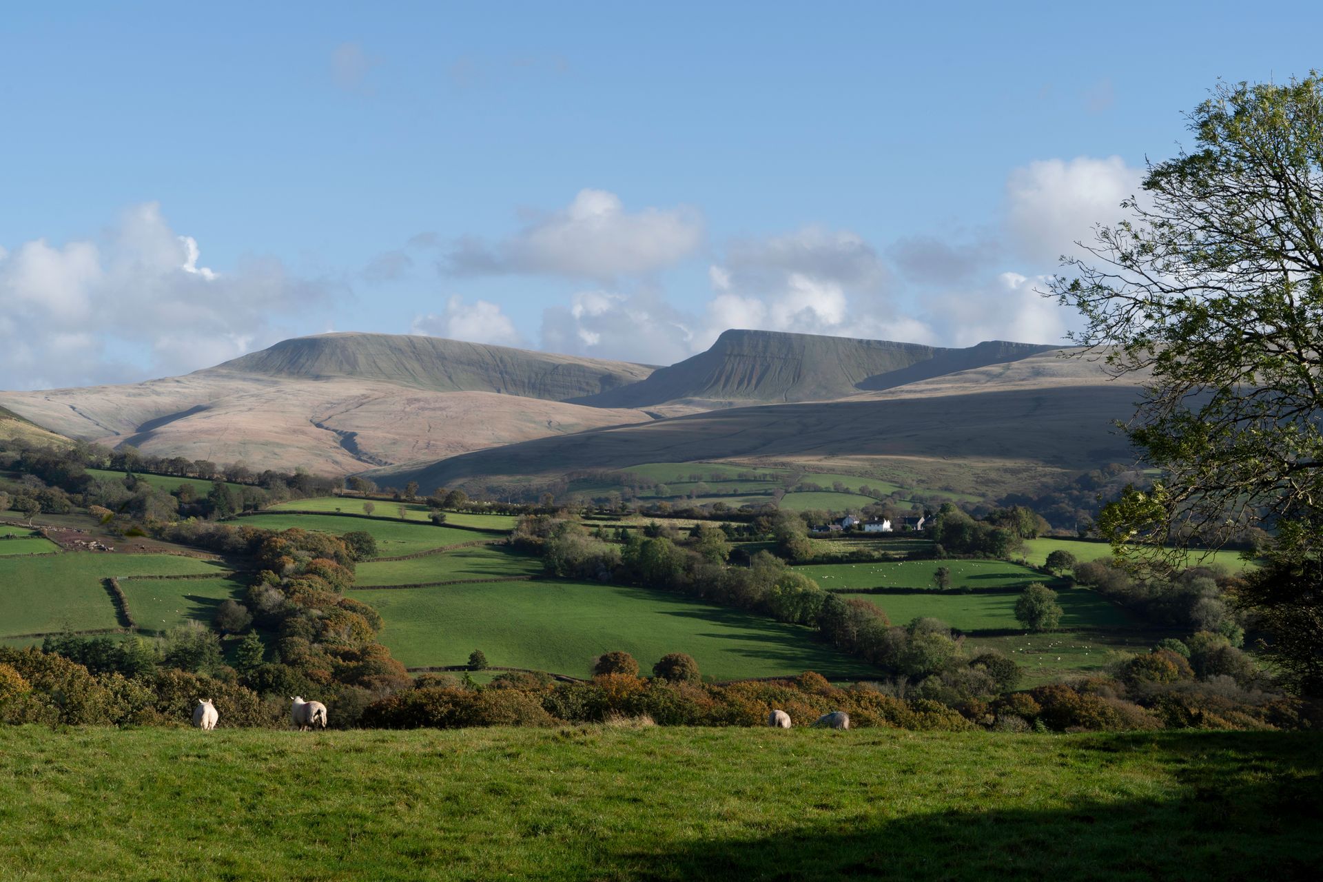 Llyn y Fan Fach Print