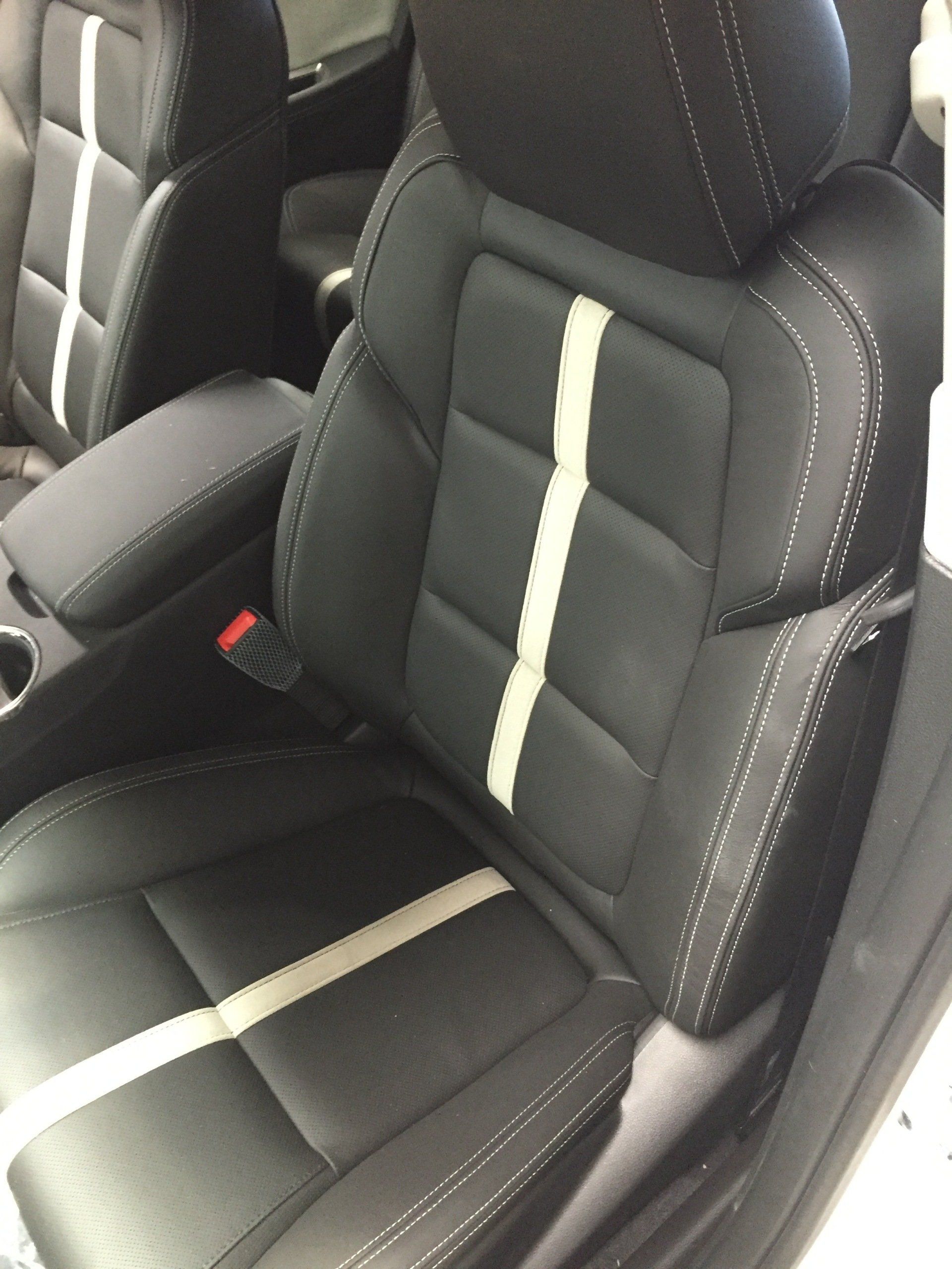 Statesman Leather Interior