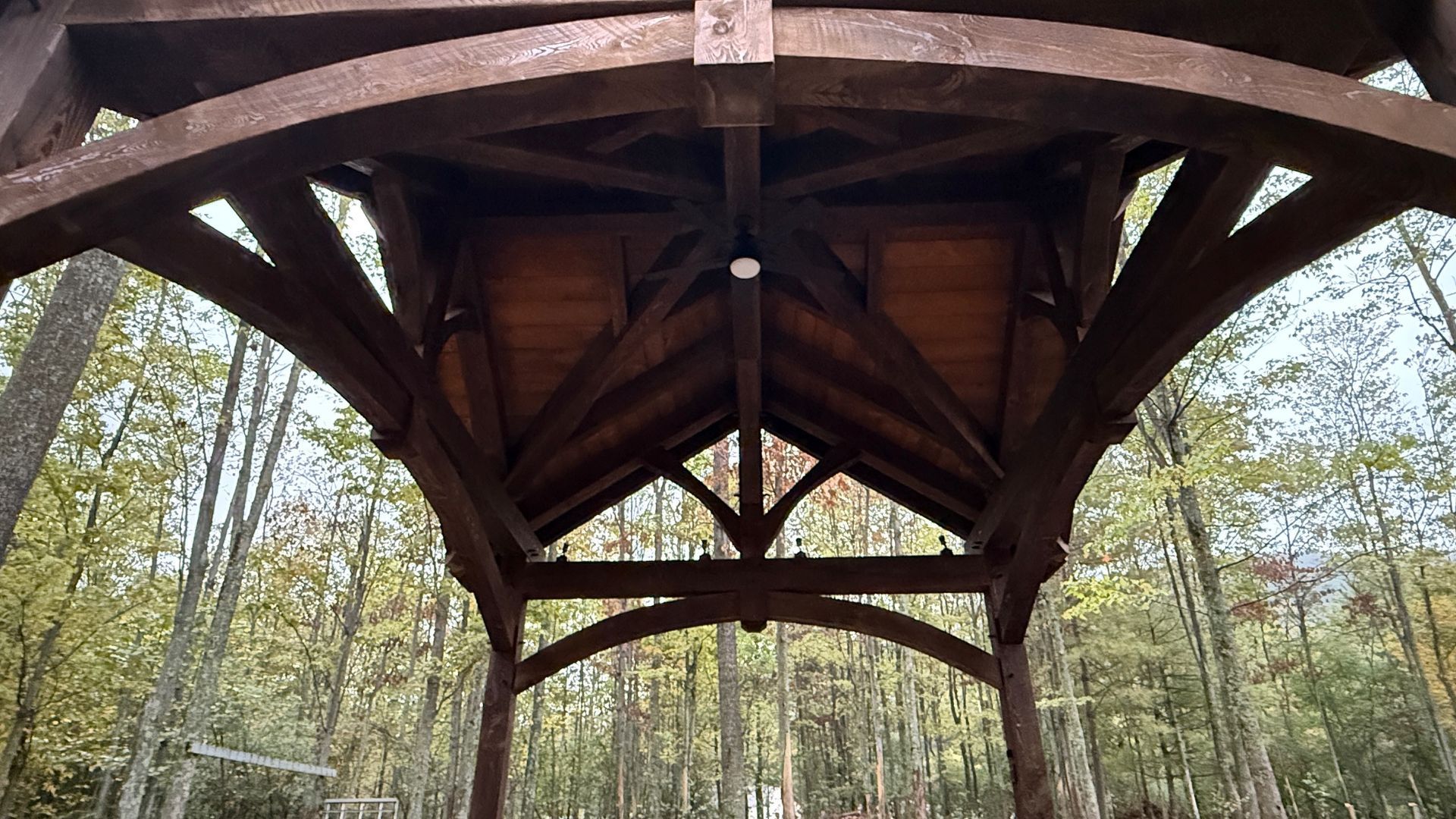 Low-angle view of a dark wooden gazebo structure with a complex arched beam roof, set against a forest background.