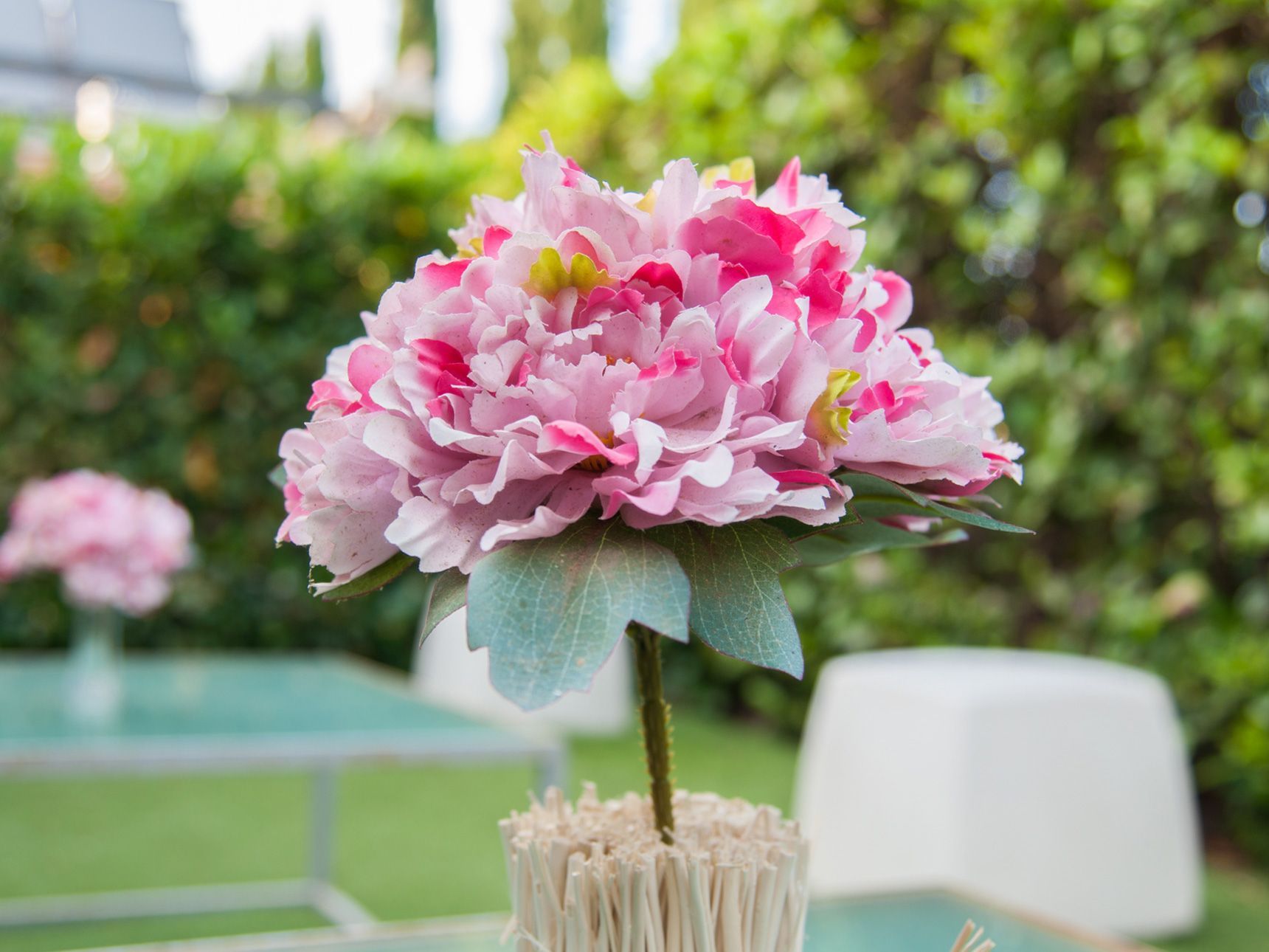 Fiori rosa e bianchi in un piccolo vaso all'aperto, con uno sfondo di giardino sfocato.