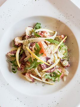 Insalata impiattata con verdure tagliate a julienne, erbe aromatiche e condimento su un piatto bianco punteggiato.