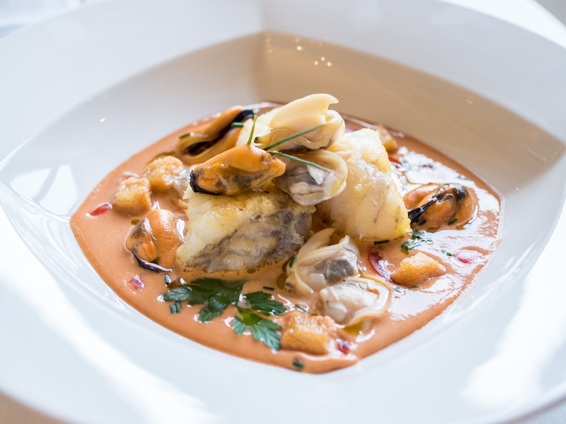 Piatto cremoso a base di frutti di mare con cozze ed erbe aromatiche, servito in una ciotola bianca.
