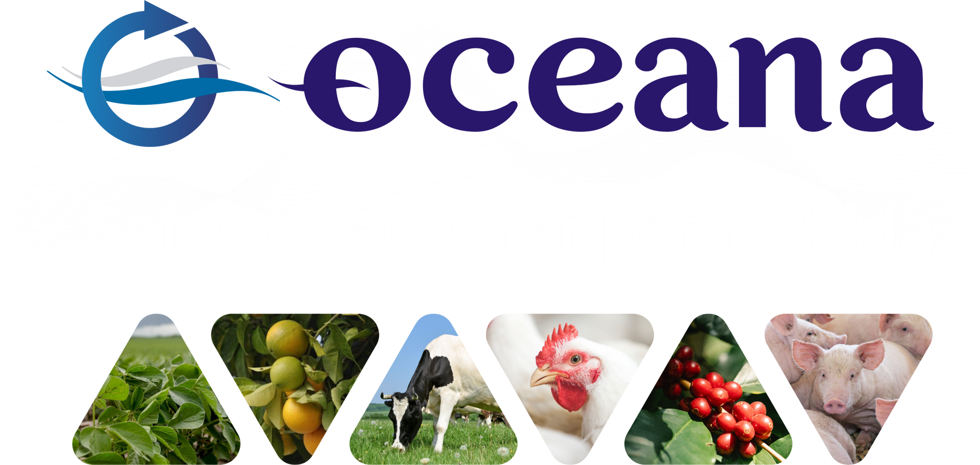 Oceana Minerals: Soluções Sustentáveis com Algas Lithothamnium para Nutrição Animal, Vegetal e Tratamento de Água