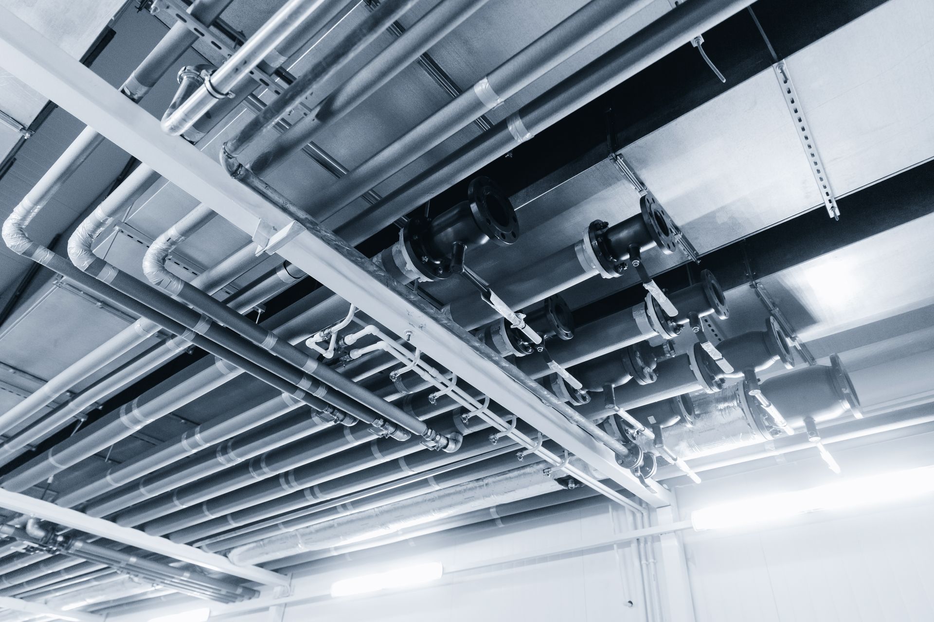Ceiling with exposed pipes, ducts, and industrial lighting in a modern utility space