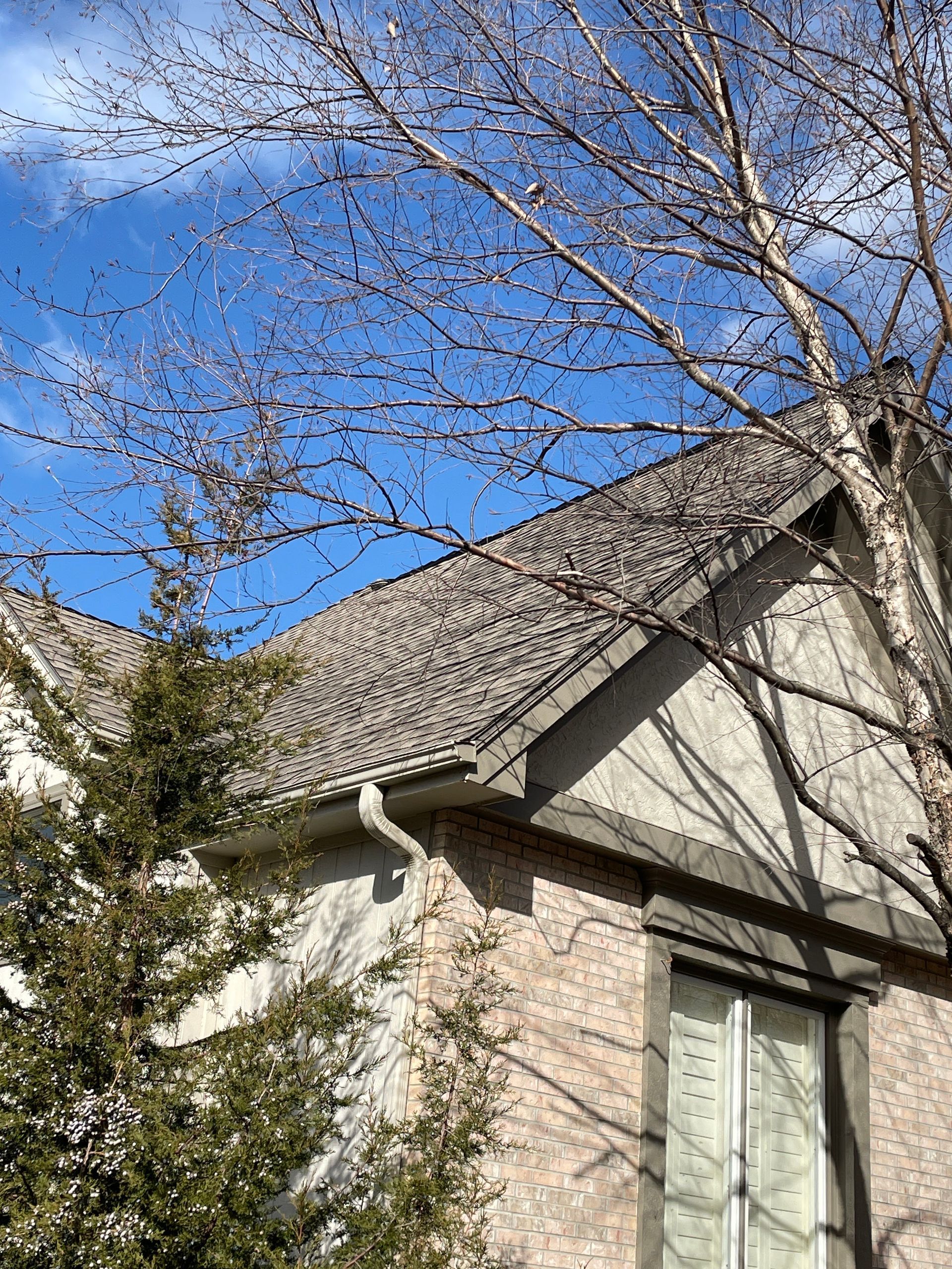 House roof and leafless tree branches against a bright blue sky