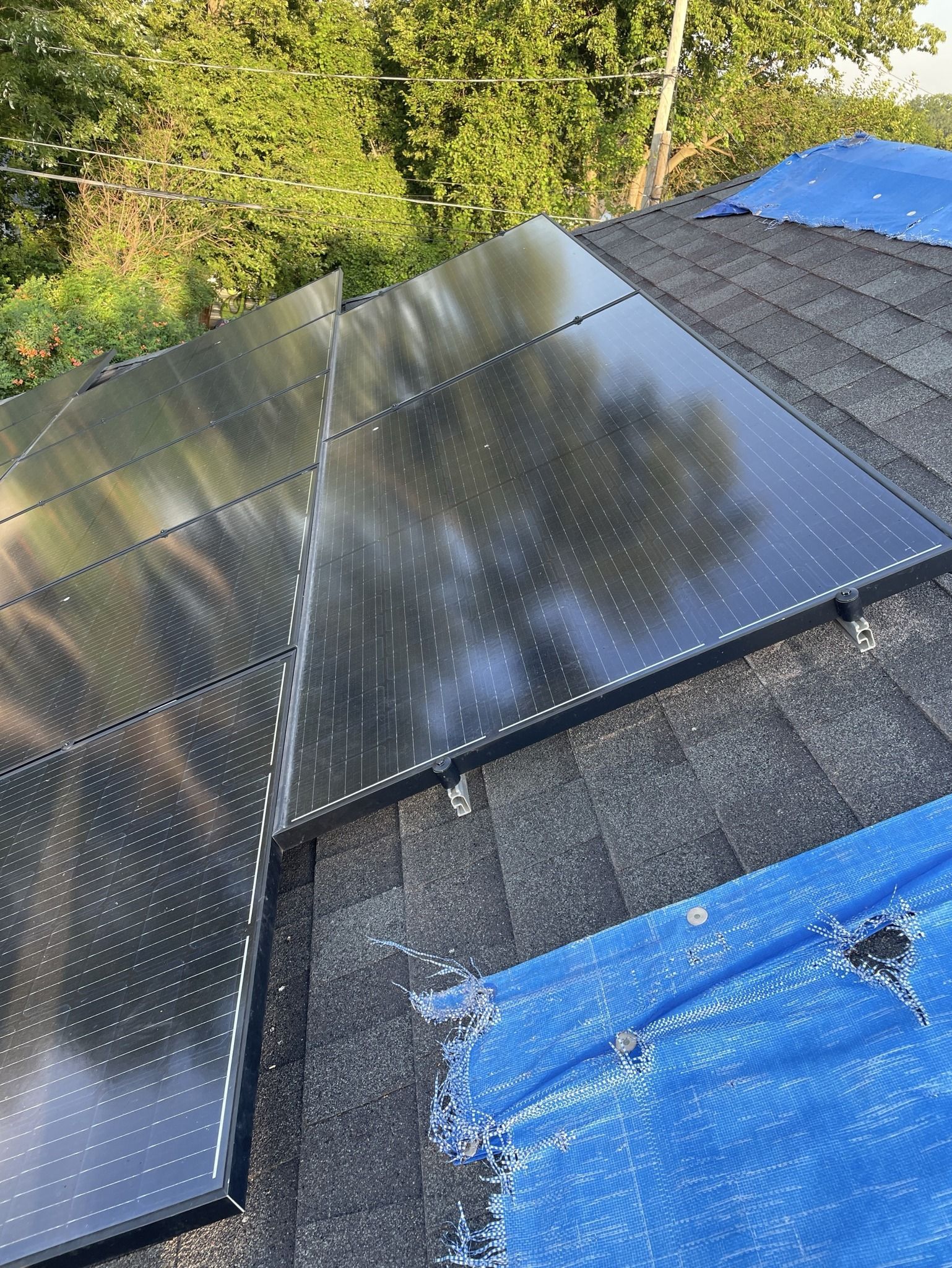 Black reflective solar panels on a roof, with blue tarp covering surrounding shingles.