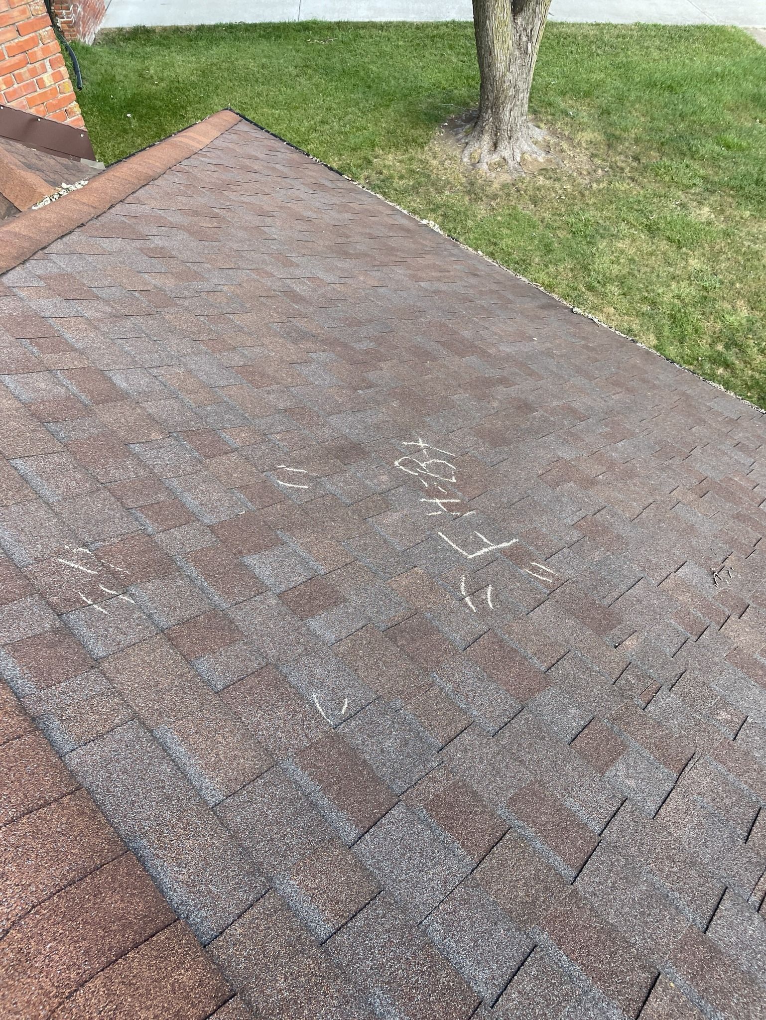 Gray shingled roof in a yard with green grass and a tree nearby