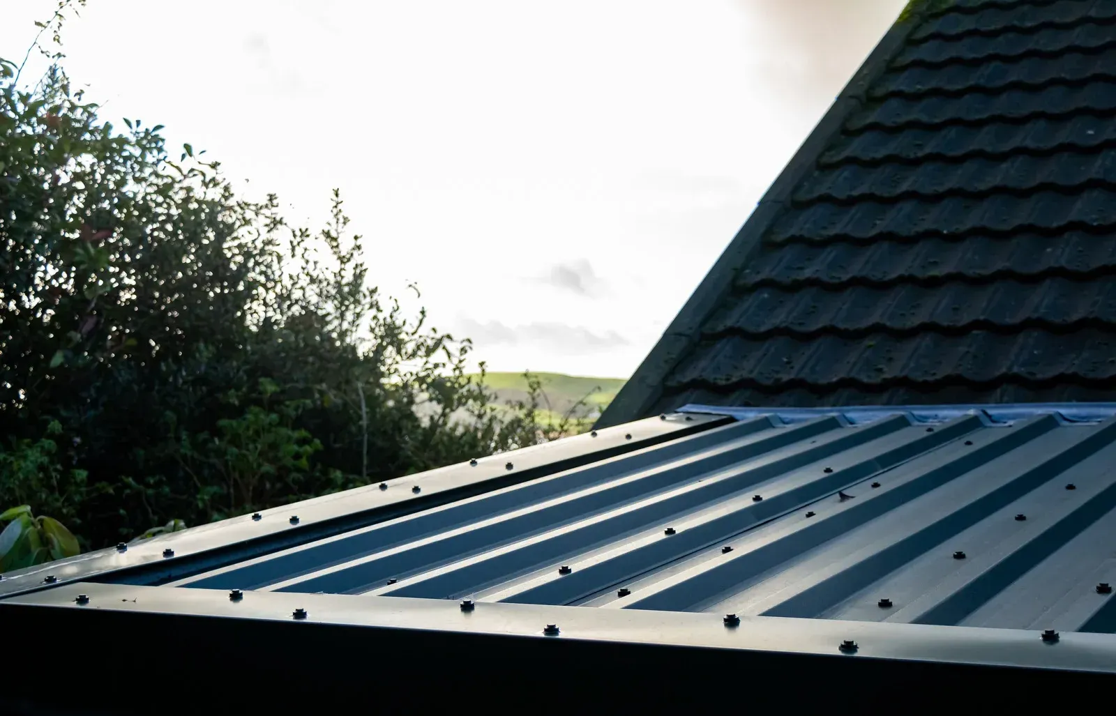 Corrugated metal roof beside a dark shingled roof and trees in bright sunlight